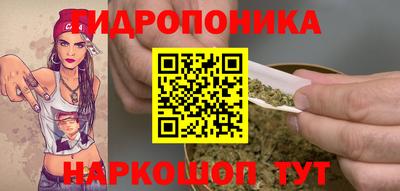 стаф Балахна