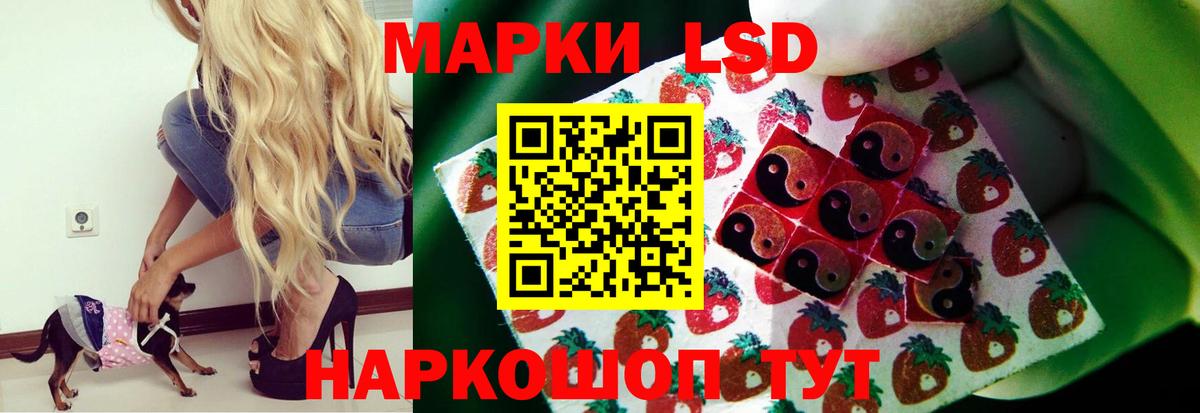 ЛСД экстази кислота  Вход с VPN  Гатчина 