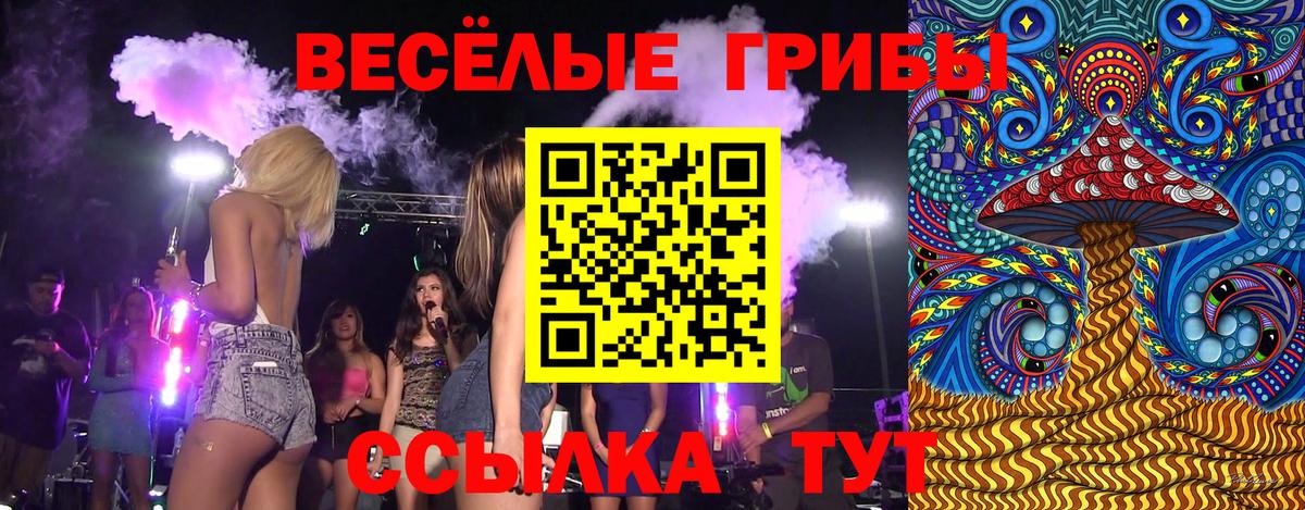 Псилоцибиновые грибы MAGIC MUSHROOMS  Вход с VPN  Гатчина 